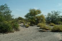 Camp area on Saddle Road