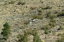 Old Mine Shaft