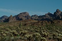 Palm Canyon AZ