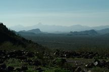 Palm Canyon Views