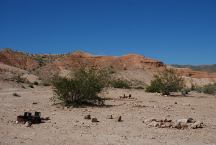 Campsite at Pearce Ferry Crossing