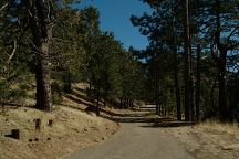 Reyes Peak Campground Road