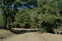 Caballo Campground