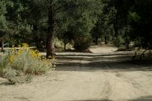 Primitive camp towards Dome Springs