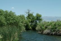 Owens River