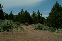 Road to Cattle Guard Campsite