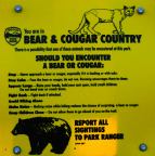 Bear and Cougar Country