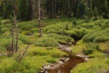 West Prong Slater Creek