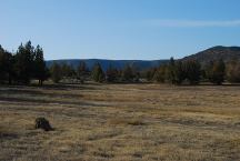 Roberts Bay East Campground