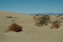 Sand Dunes on the Salton Sea