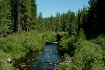 Algoma Campground