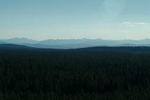 Macintosh Viewpoint
