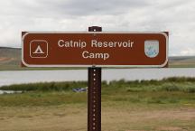 Catnip Reservoir