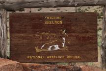 Sheldon National Antelope Refuge
