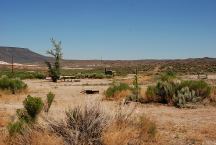 Virgin Valley Campground