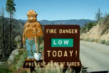 Smokey Bear