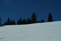 From Hwy 50 south of Silverton