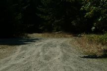 Roads at China Flat Campground