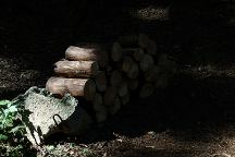 Firewood at Squaw Lake