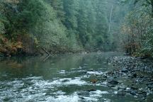 Elk River from Sunshine Bar Campground