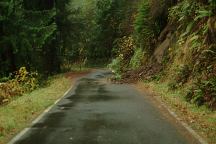 Mud Slide on Canal Creek Road