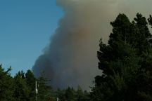 Slash Burn viewed from Florence