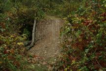 Bridge at Indian Creek Campground