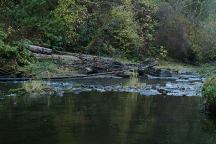 North Fork Siuslaw River