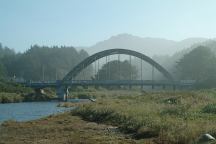 Bridge viewed from Stonefield Beach