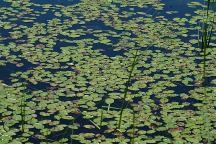 Snake Lake