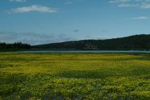 Sparks Lake
