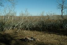 Dispersed camp...