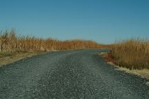 Road to Sod House Ranch