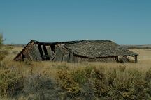 Steens Mountain Loop Barn