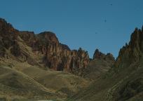 Leslie Gulch