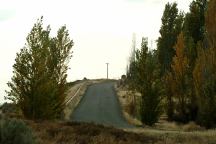 Road viewed from Sundale Park