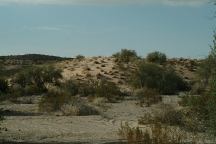 Sand Dunes