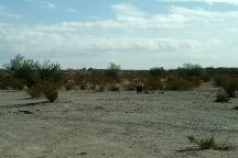 Camp Area at Osborne Wash