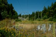 Bear Valley Picnic Area