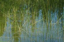 Lake at Eureka Diggings