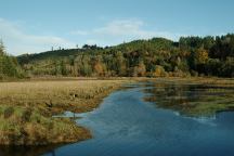 Tahuya River