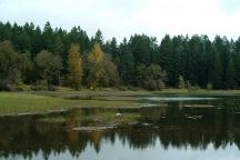 Oak Patch Lake