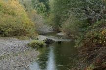 River at Camp Spillman