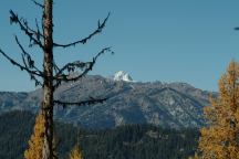 Mountain Views from Road 9738