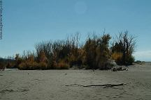 Great Sand Dunes National Park