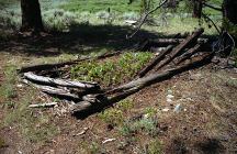 Tin Cup Cemetery