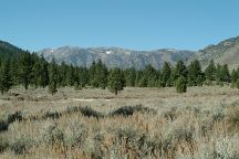 Towards Buckeye Campground