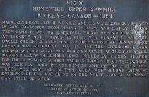 Plaque