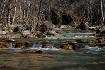 Fossil Creek