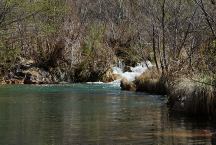 Fossil Creek